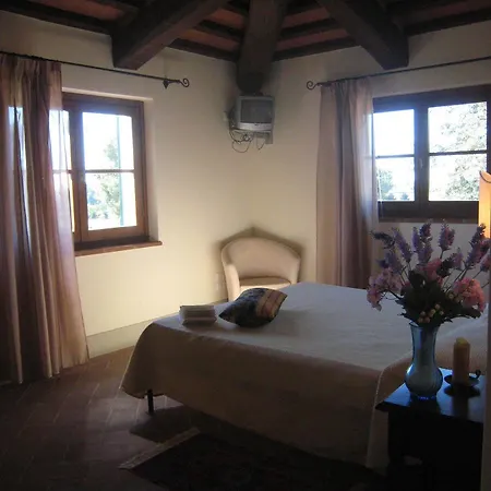 Seven 2* Cortona